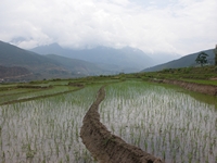 bhutan